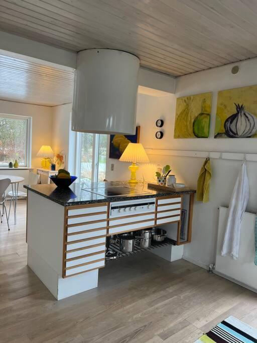 Skont Hus Pa Landet Taet Pa Billund Villa Give Exterior foto