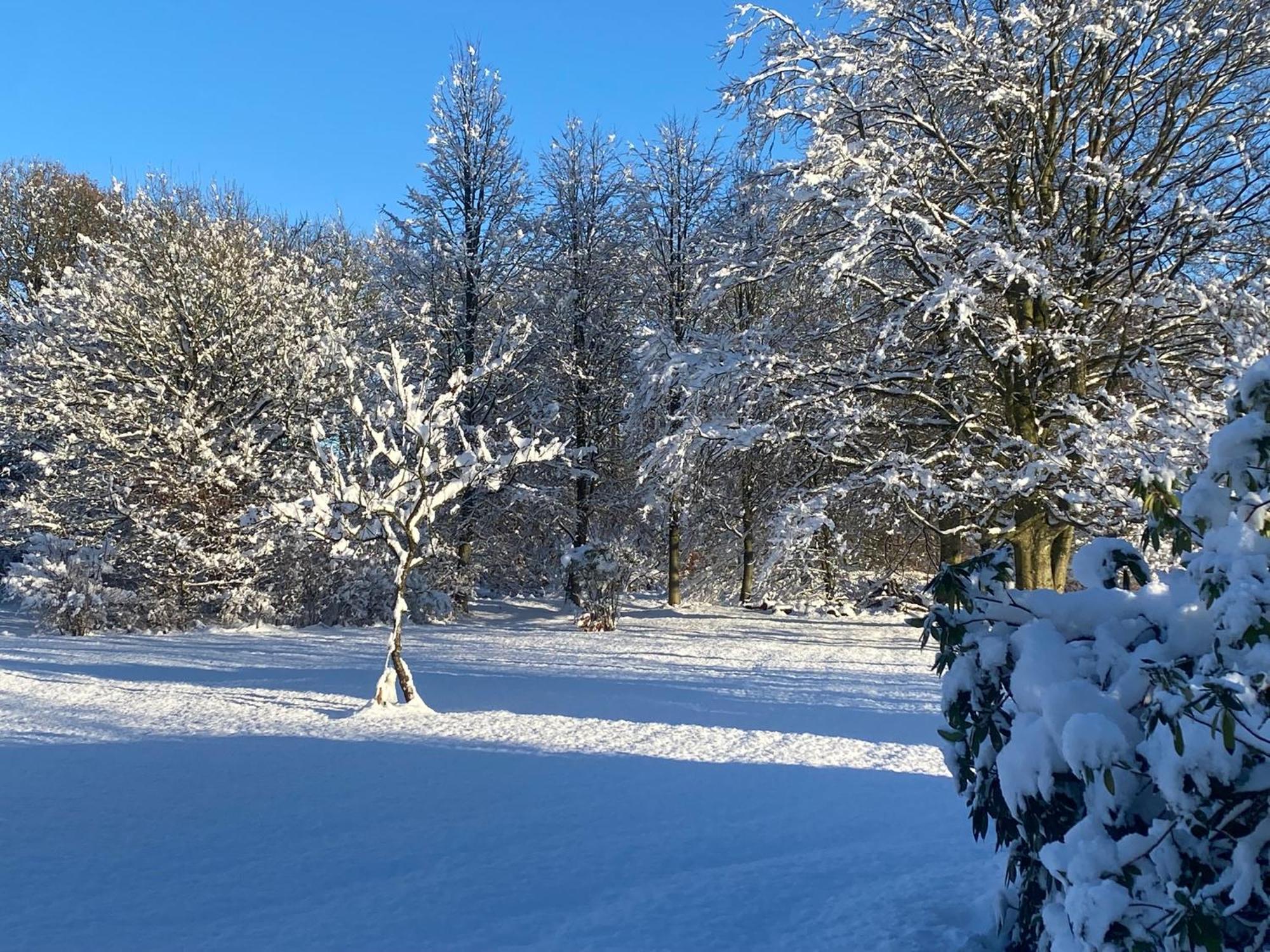 Skont Hus Pa Landet Taet Pa Billund Villa Give Exterior foto